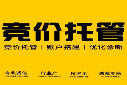 案例研究：关键词竞价排名实战技巧